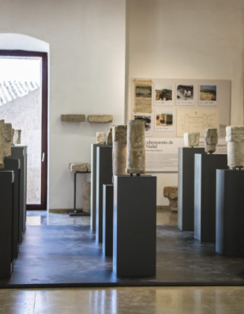 Visita guiada al Castillo de Riba-roja de Túria y sus museos