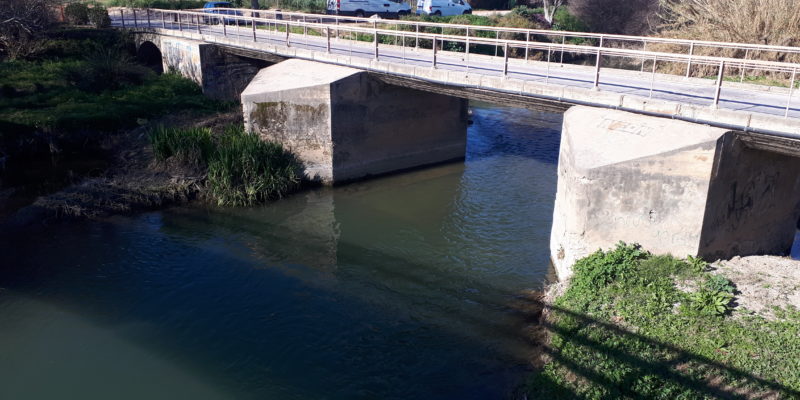 Puente sobre el río Turia