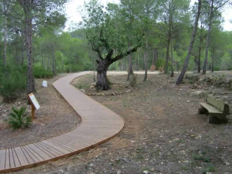 El arboreto y rocalla - Parc del Turia