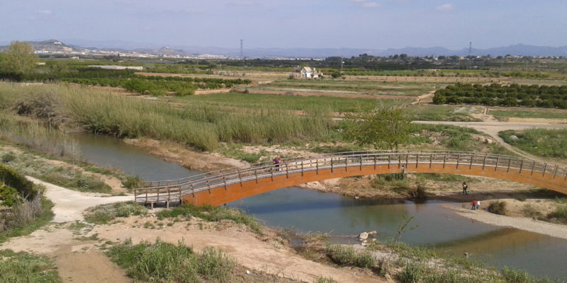 plantas del parque del túria