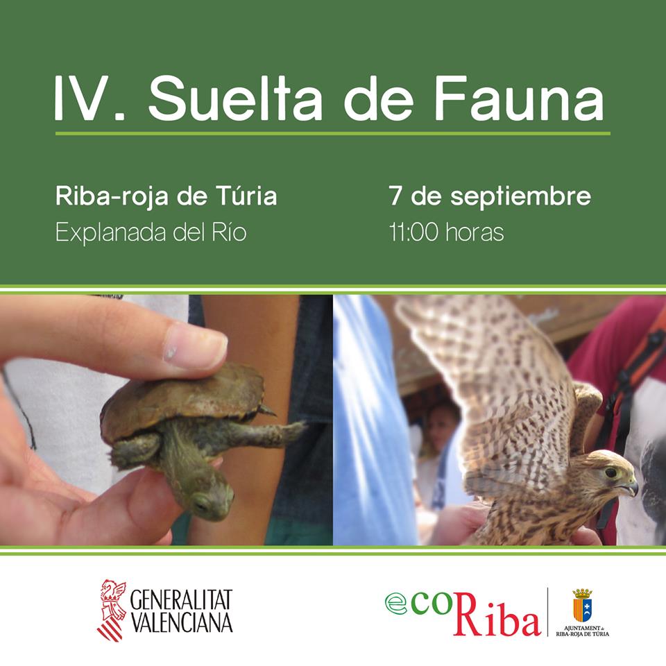 fauna naturaleza ribarroja de túria
