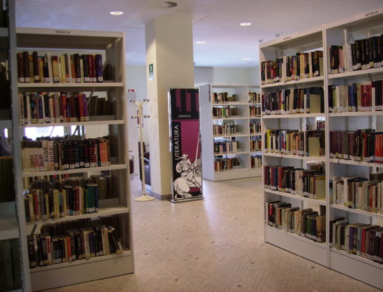 Biblioteca municipal Enric Valor